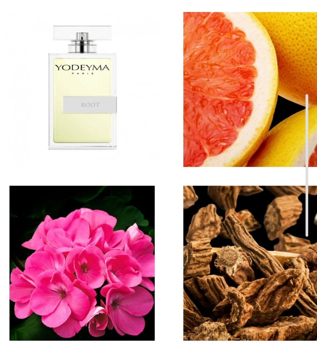 Root – Yodeyma | Geïnspireerd op Terre d'Hermès