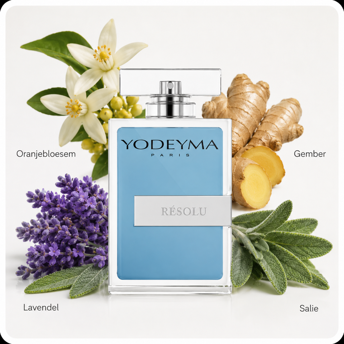 Resolu – Yodeyma Eau de Parfum voor Heren | Geïnspireerd op YSL Y