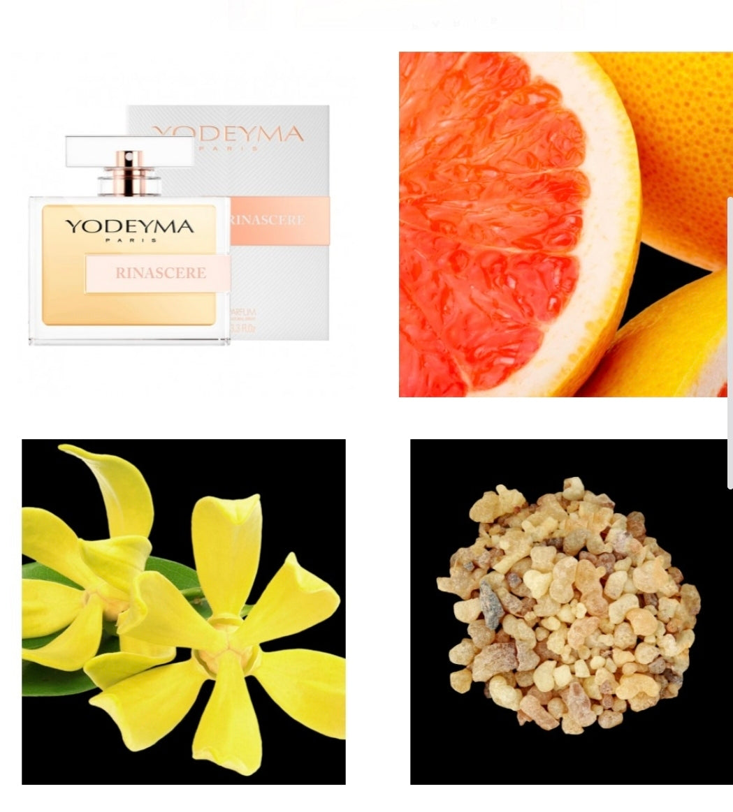 Rinascere – Yodeyma Paris | Frisse Bloemen Parfum | Geïnspireerd door Gabrielle Chanel