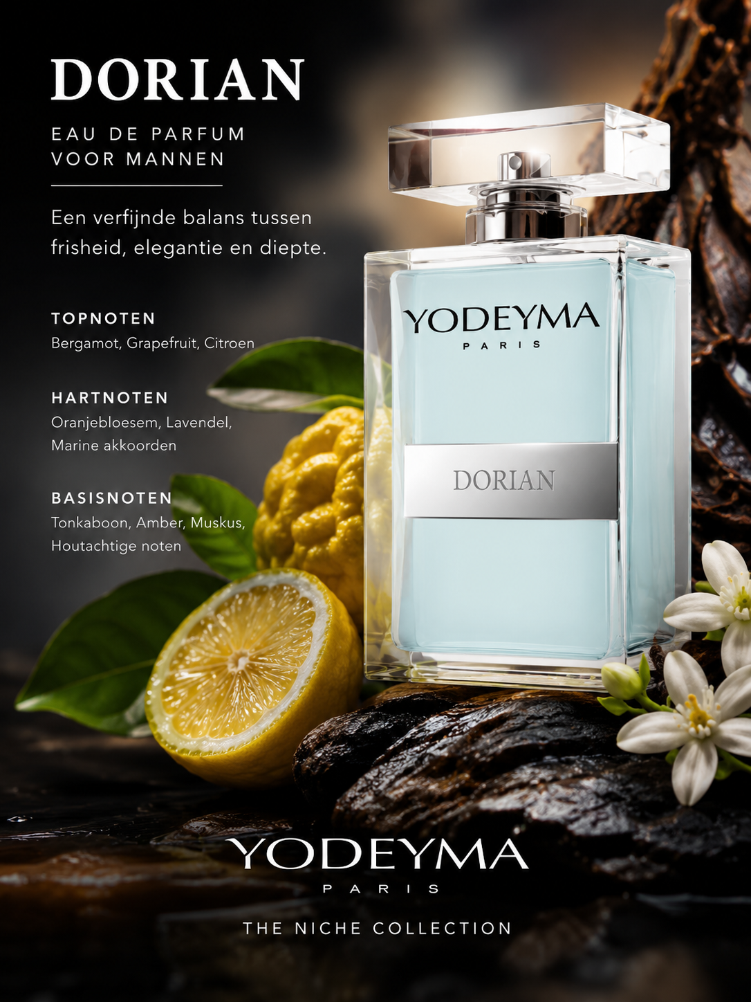 Yodeyma Dorian Herenparfum | Fris, Aromatisch & Houtachtig