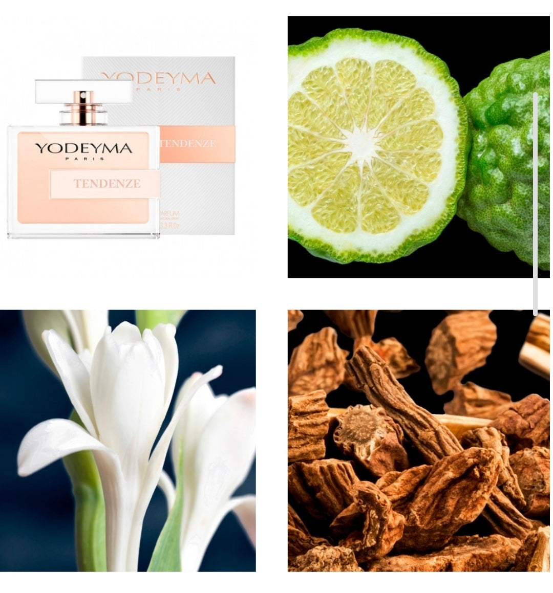 Tendenze Parfum voor Dames | Bloemig, Fris & Sensueel