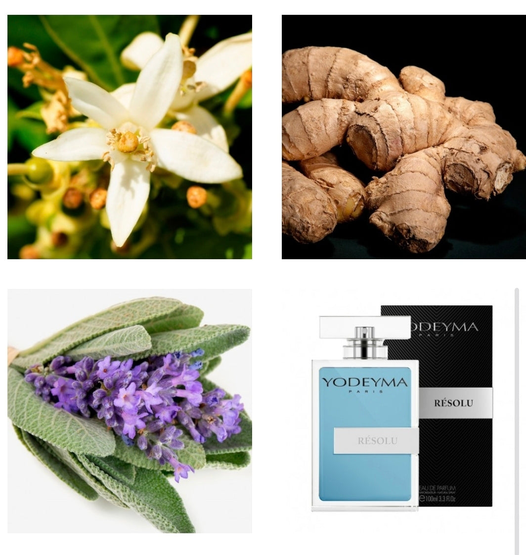 Resolu – Yodeyma Eau de Parfum voor Heren | Geïnspireerd op YSL Y