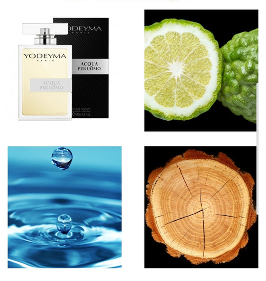Acqua per Uomo – Yodeyma | Geïnspireerd op Acqua di Giò Armani