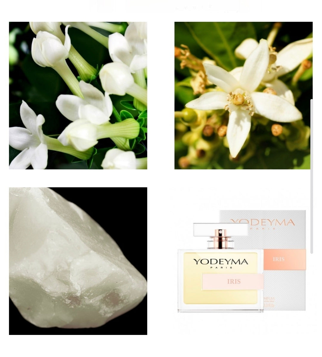 Iris – Yodeyma Eau de Parfum